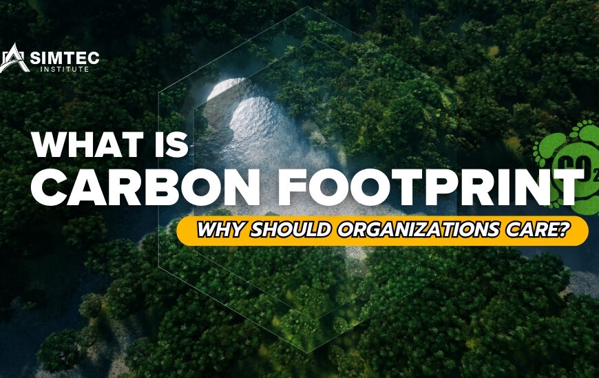 Carbon Footprint: What Is It and Why Should Organizations Care?